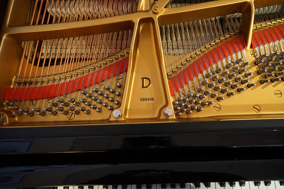 Ein angesehener D-Flügel