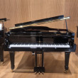W.Hoffmann V-175 von 2022 in Schwarz glänzend