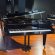 C. Bechstein B 203 von 1912 in Schwarz glänzend