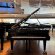 C. Bechstein D-282 von 2018 in Schwarz glänzend