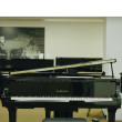 Yamaha DGB-1 Enspire von 2024 in Schwarz glänzend