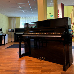 Schimmel 116S von 2001 in Schwarz glänzend