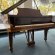Steinway & Sons S-155 von 1964 in Nussbaum glänzend