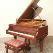 Pleyel 193 von 1895 in Palisander matt