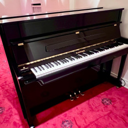 W.Hoffmann Vision 112 von 2011 in Schwarz glänzend
