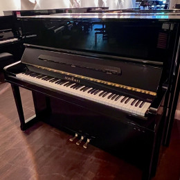 Schimmel 126 von 2017 in Schwarz glänzend