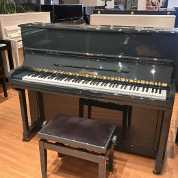 Thürmer 120 M von 1981 in Sonderfarbe glänzend