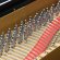 Steinway & Sons A-188 von 1909 in Schwarz glänzend