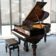 Steinway & Sons O-180 von 1903 in Wurzelnussbaum glänzend