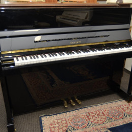 Euterpe EU-112 von 2007 in Schwarz glänzend